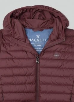 Hackett London PUFFA JACKET 8 Hackett London PUFFA JACKET -Hackett London Shop HK400996 294 03 FL